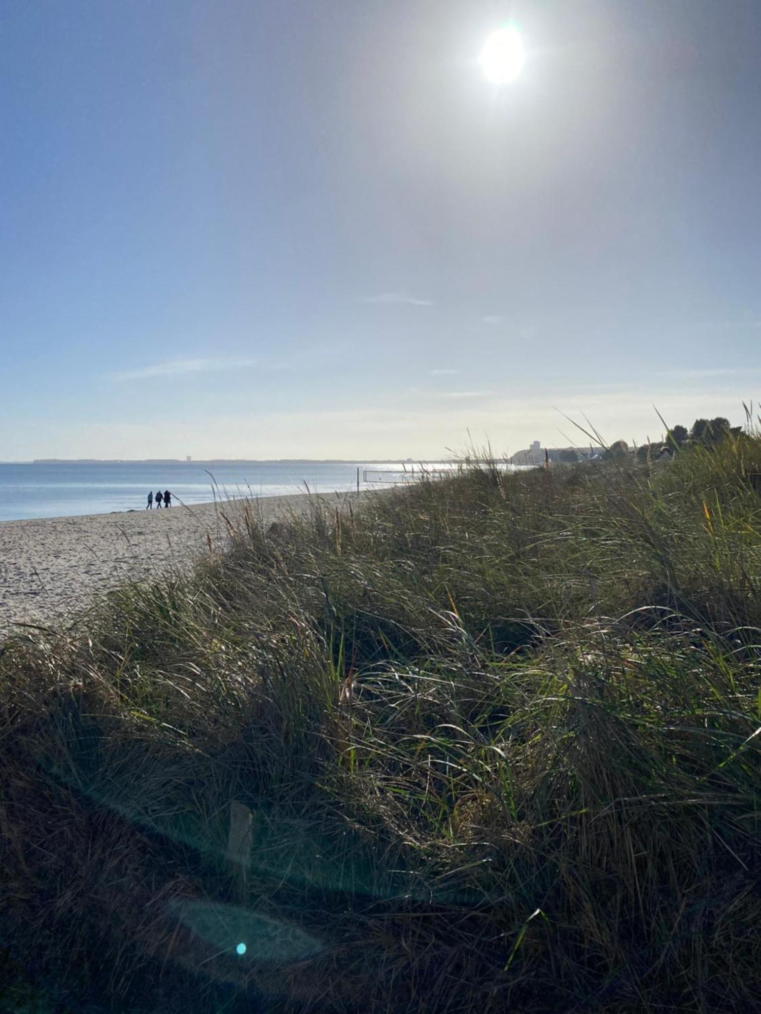 Beach House Chalet Seeparx Suesel Susel Exterior foto